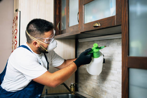 Pest Control Cost in Wichita, KS