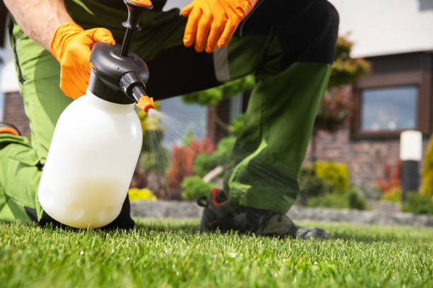 Best Wasp Removal Services  in Wichita, KS