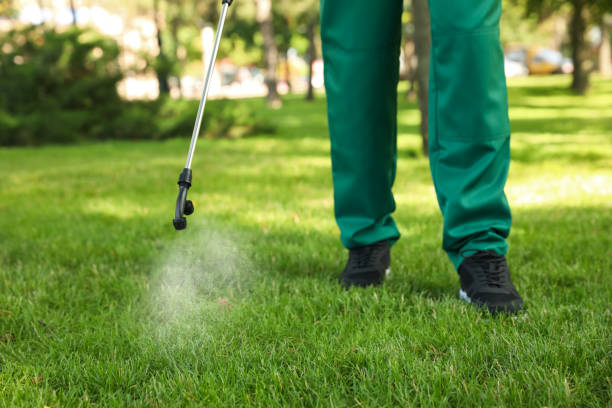 Best Cockroach Control Services  in Wichita, KS