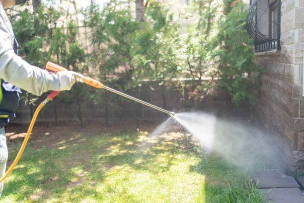 Best Wasp Removal Services  in Wichita, KS