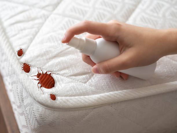 Best Pest Control Near Me  in Wichita, KS