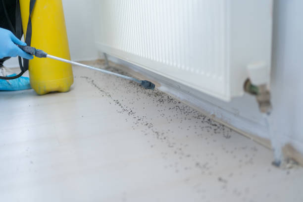 Best Residential Pest Control  in Wichita, KS