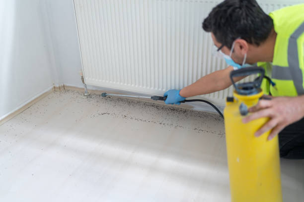 Best Emergency Pest Control  in Wichita, KS