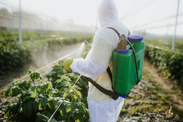 Best Bed Bug Extermination  in Wichita, KS